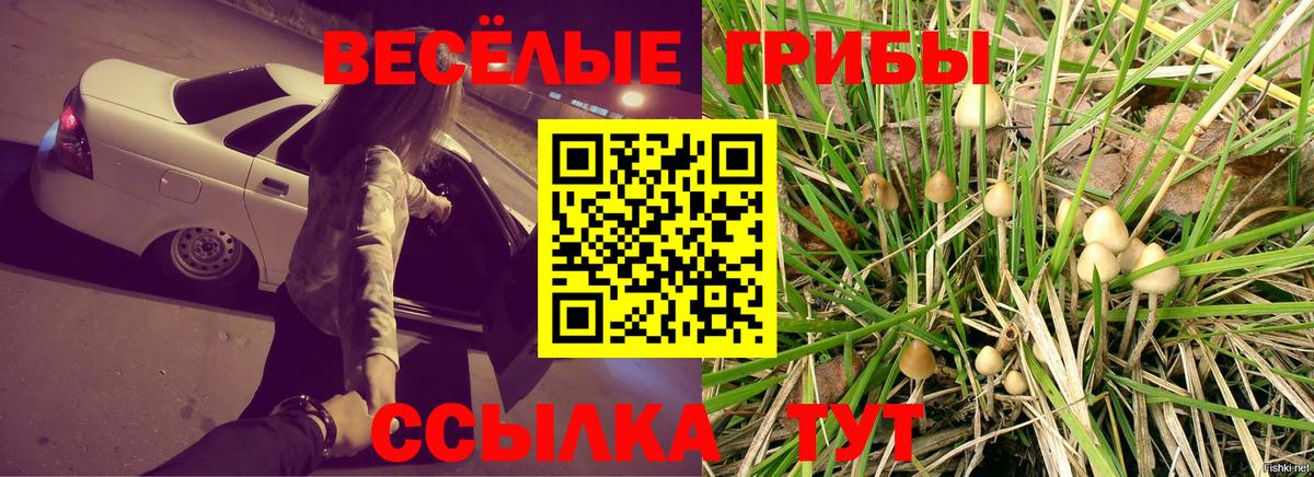 Псилоцибиновые грибы ЛСД Сертолово