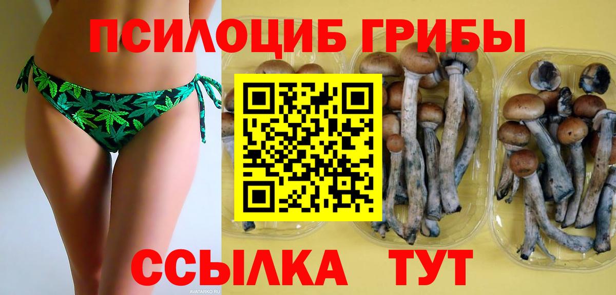 Сертолово  Галлюциногенные грибы Magic Shrooms  Вход с VPN  Псилоцибиновые грибы прущие грибы 